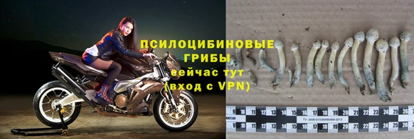 хмурый Надым