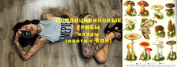 хмурый Надым