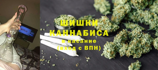 прущие грибы Нея