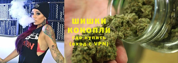 прущие грибы Нея
