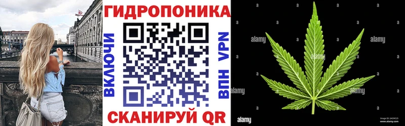 Бошки Шишки Amnesia  Никольское 